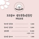 코코블리 애견운동장 이미지