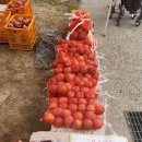 제천농협주유소 이미지