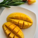 잇츠랄라 이미지