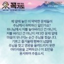 콩깍지 이미지