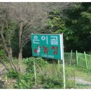 은이골농원 네이버블로그