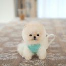 스테이 모량 이미지