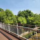 우리꽃식물원 - 남동구 호구포로 400-2 | 화성-가족들과 산책하기 좋은 곳! 화성시 우리꽃 식물원 산책 다녀온 후기!