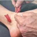 익산뿌리한의원 이미지