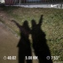 달산초등 | 11월 셋째 주 이제 트리가 등장🎄 다가오는 크리스마스에는 뭐 할까