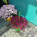 사대한의원 이미지