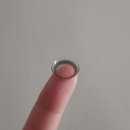 포베오 이미지