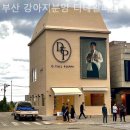 부산 강아지분양 디테일퍼피 이미지