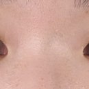 에스제이속눈썹