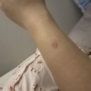 퀸즈파크여성병원 이미지