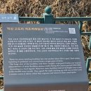 용주암 석조여래입상 | 익산 고도리 석조여래입상 방문후기