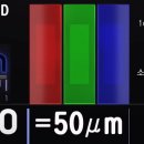 LCD 지고, OLED 뜬다?→LCD 지속, OLED 저문다 이미지