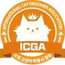 데이지꼼 이미지