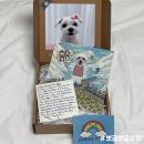 반려동물 강아지 추모 액자 뽀글뽀글상점