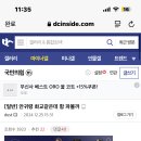 국힘 이쪽은 바보들만 사나봐 이미지