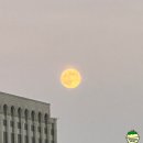 은행나무로(송현동) | 코리아그랜드페스티벌 종로 경복궁 단풍은행 보러 가기 열린송현 서촌