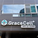 그레이스셀강남병원 이미지