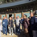 삼척 천은사 금동약사여래입상 | 월정사에서 느낀 평화ㅡ경맥 56회 졸업 50주년 기념행사, 둘째날 이야기 (2025.11.2. 일)