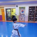 건강한태권도교육관 이미지