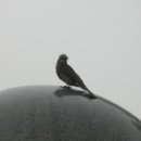 형일초교 이미지