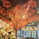 사천개로 | 충주 호암동 연말 모임 안주 존맛탱 조선맥주🍻