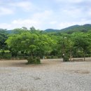 강당골캠핑파크 이미지