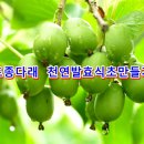 태장농부