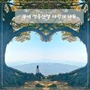 성흥로97번길 | [충남 부여] 성흥산성 사랑의나무 가볼만한곳 부여여행코스