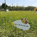 (주)코리아세븐 반포서래점 | [서울 아기랑 가볼만한 곳] 서래섬 치킨 한국통닭 솔직 후기