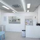 이쁘개(이동애견미용) | 당진 개님의 취향 애견미용 후기 포메라니안 첫 미용