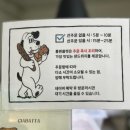 동문 | 제주크리스마스카페 롱앤플랫 샌드위치 동문시장점 후기