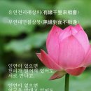 푸름한세상