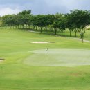 유니 랜드 이미지