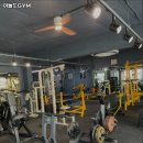 아놀드GYM 이미지