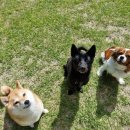 박순호의 아이슬란드 이미지