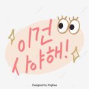 닥터워시 이미지