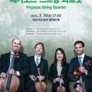 슈투트가르트 페가소스 스트링 콰르텟 이미지