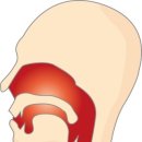 축농증 치료/ 부비동염수술잘하는곳 / 맑은연합 용인이비인후과 / 내시경검사