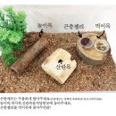 구성사슴농장 이미지