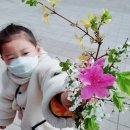 용마세탁소 이미지