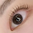 다교뷰티 이미지