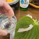 나는바다다 이미지
