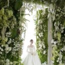 청주농협주유소 | [청주_결혼준비] 트리웨딩 방문 및 상담 후기(가계약)