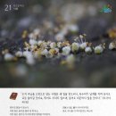새창조이야기 - 송파구 거마로22길 24 | 새창조이야기