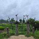 전서로(풍천면) | [ 경북 여행 ] 아이들과 안동하회마을 / 하회마을 맛집 하회민속식당 리얼후기.