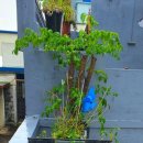 서귀동-23 이미지