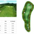 티그린 골프존 이미지