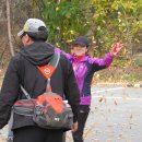 오봉산 주차장 이미지