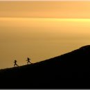 매일매일의 건강습관, 건강체조 이미지