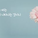 새일과새시대